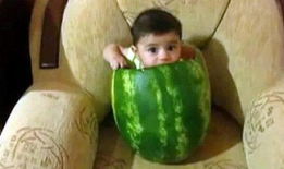 沧州吃瓜爆料视频大全最新,揭秘当地热点事件背后的真相