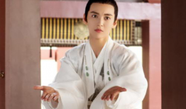 女扮男装电视剧,揭秘女扮男装电视剧的精彩世界