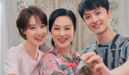 电视剧婆婆,家庭和谐的守护者