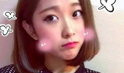 网红和明星的差距,数字时代的身份差异解析